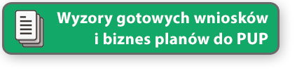biznes plan wzór
