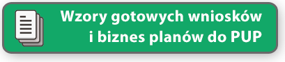 biznes plan wzór